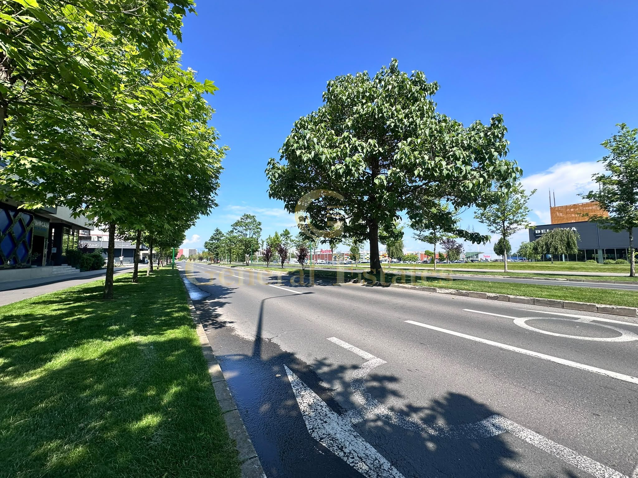 spatiu-comercial-de-inchiriat-kasper-brasov-3185286-property-image-2